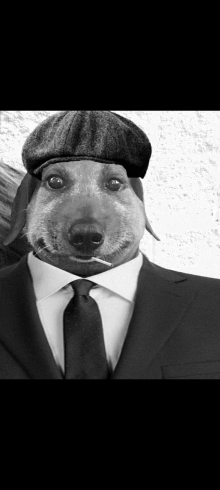 aGyZWaPlSqU.jpg?size=720x1600&quality=96