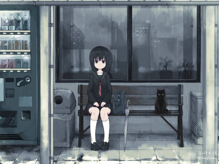 Vk8fqmmc9zg.jpg?size=850x638&quality=96&