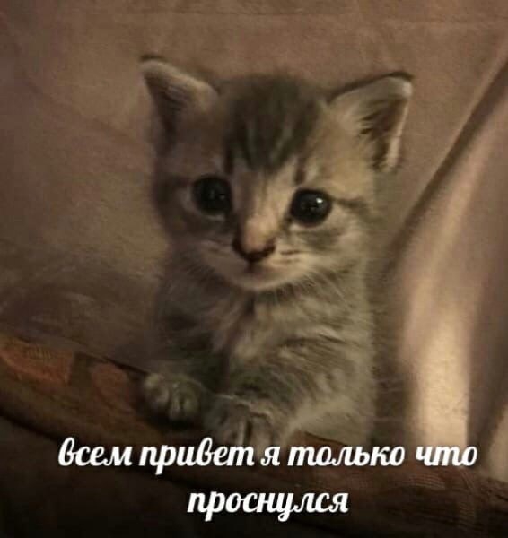 MXJqprLgraU.jpg?size=566x600&quality=95&