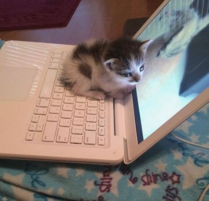 qFeULIyQmdo.jpg?size=828x796&quality=96&