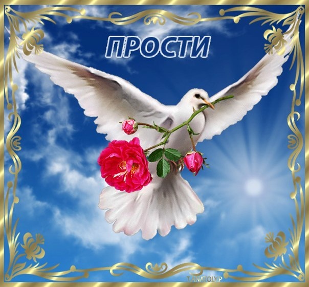 ZgQbNL9rctI.jpg?size=604x561&quality=96&