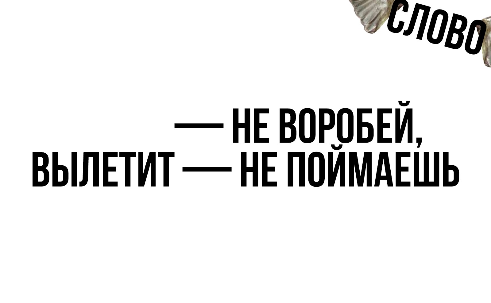 Rmi2vY_-0T0.jpg