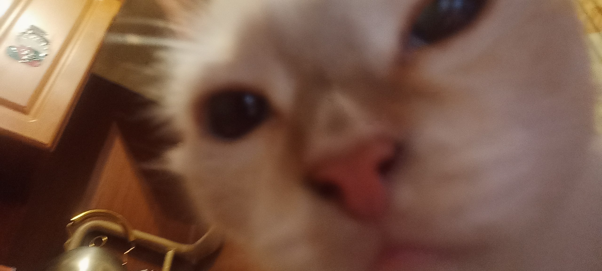 2dk1k2UypxQ.jpg?size=2560x1152&quality=9