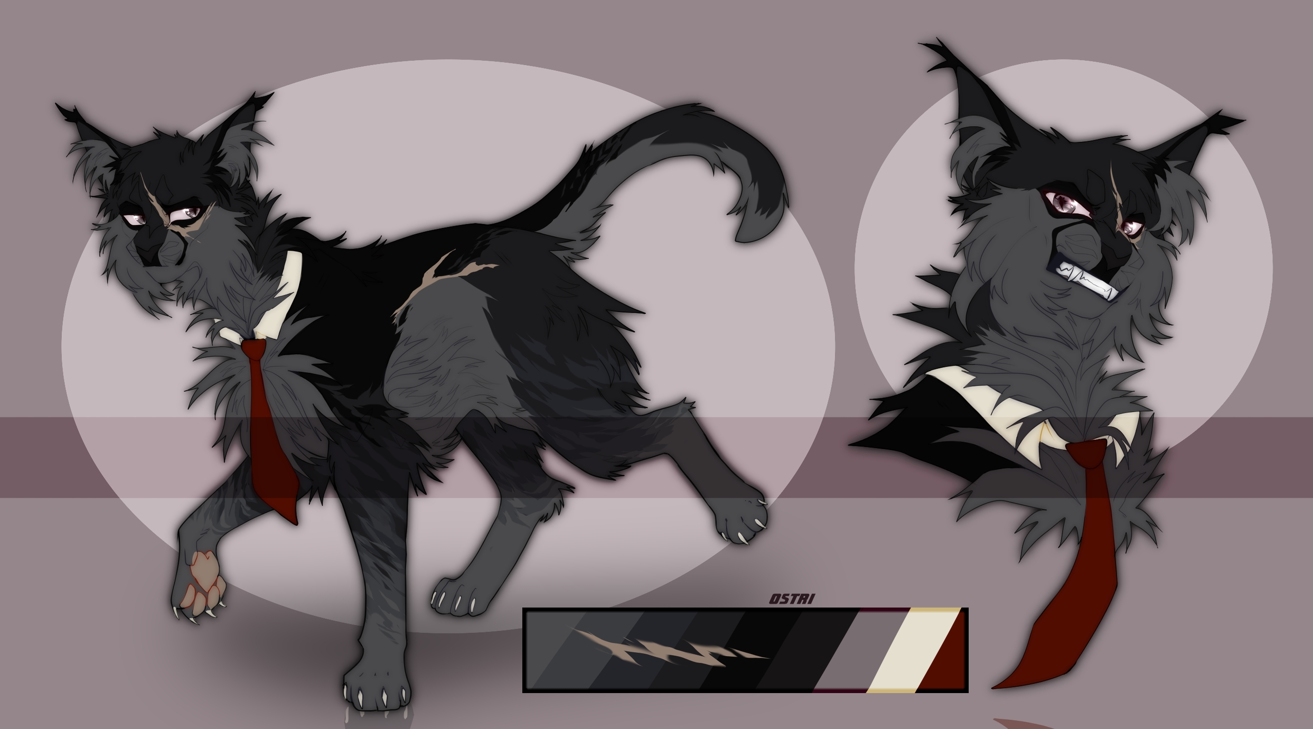 48pZHzc9tyM.jpg?size=2560x1422&quality=9