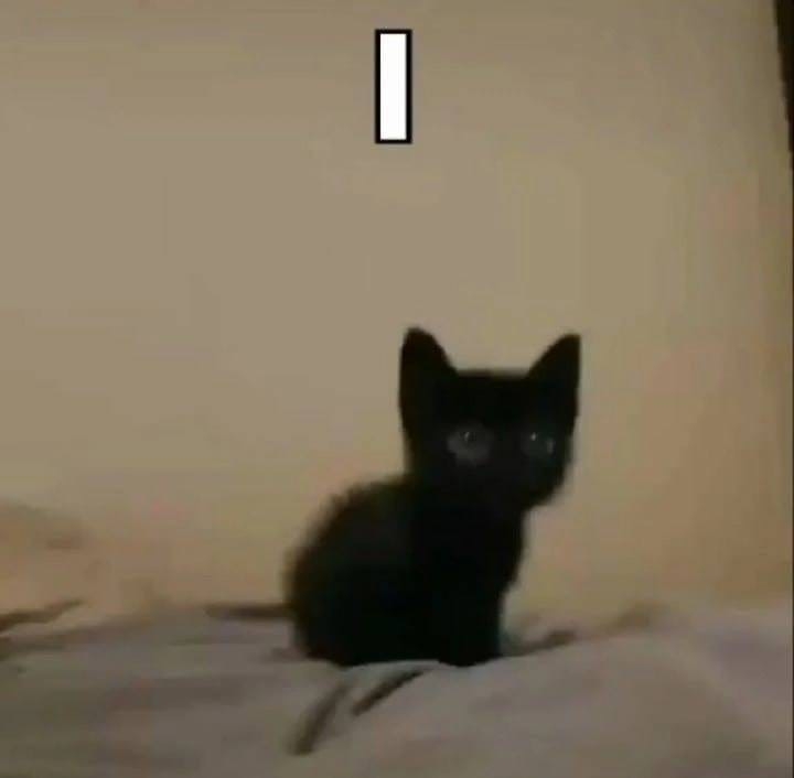 LyFttBf0uoA.jpg?size=720x706&quality=95&