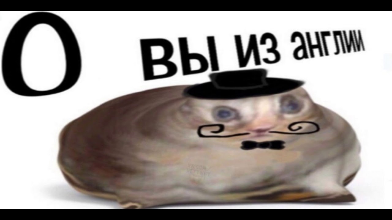maxresdefault.jpg
