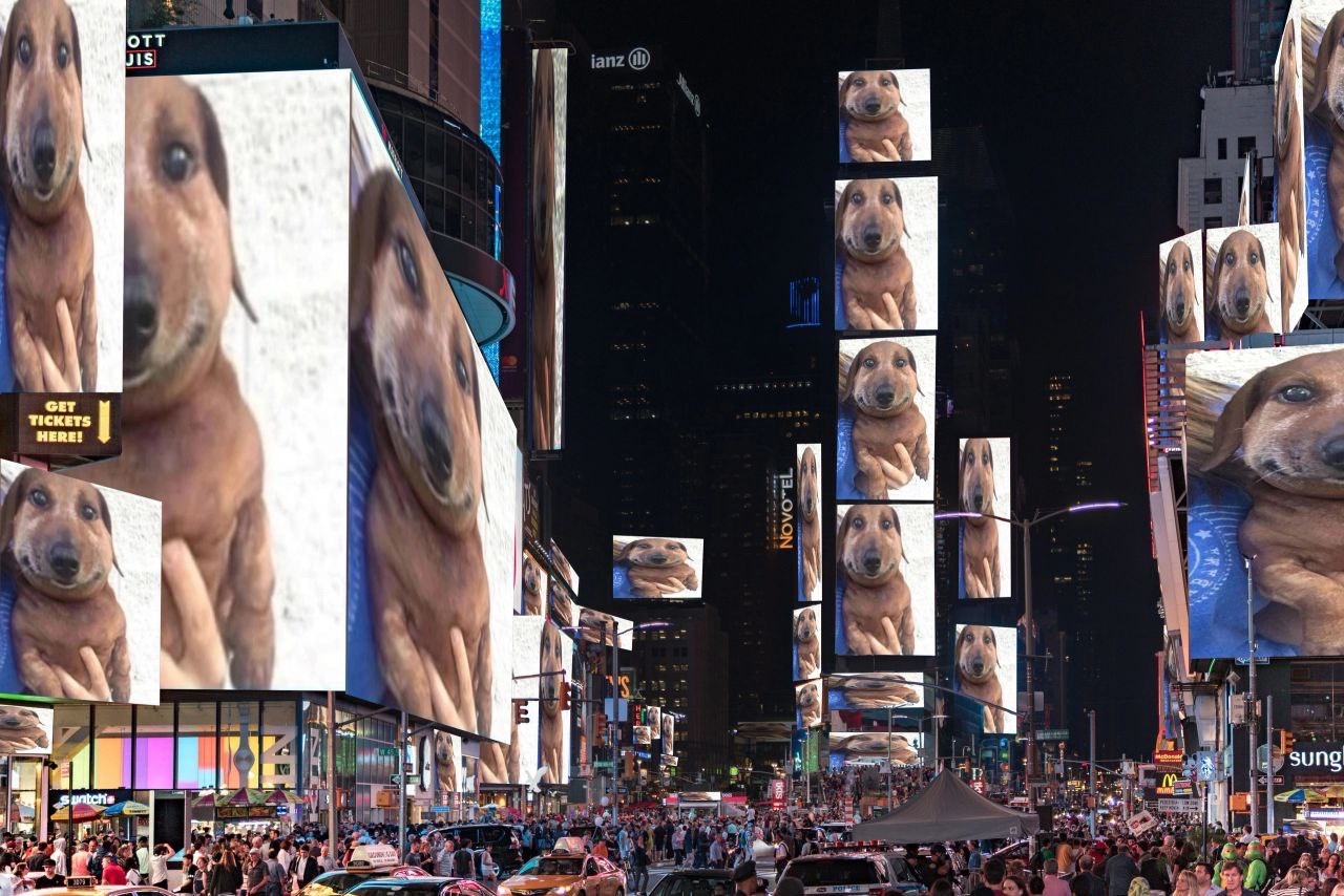 9l9asZcy_iWxOkEKkny-a9m9EPptfowzlYAFiBho