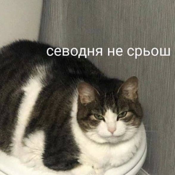 hw4MxutZvKs.jpg?size=588x588&quality=96&