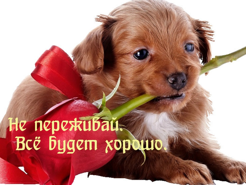 images_10275.jpg&sig=f89e6797c9b6992bef2