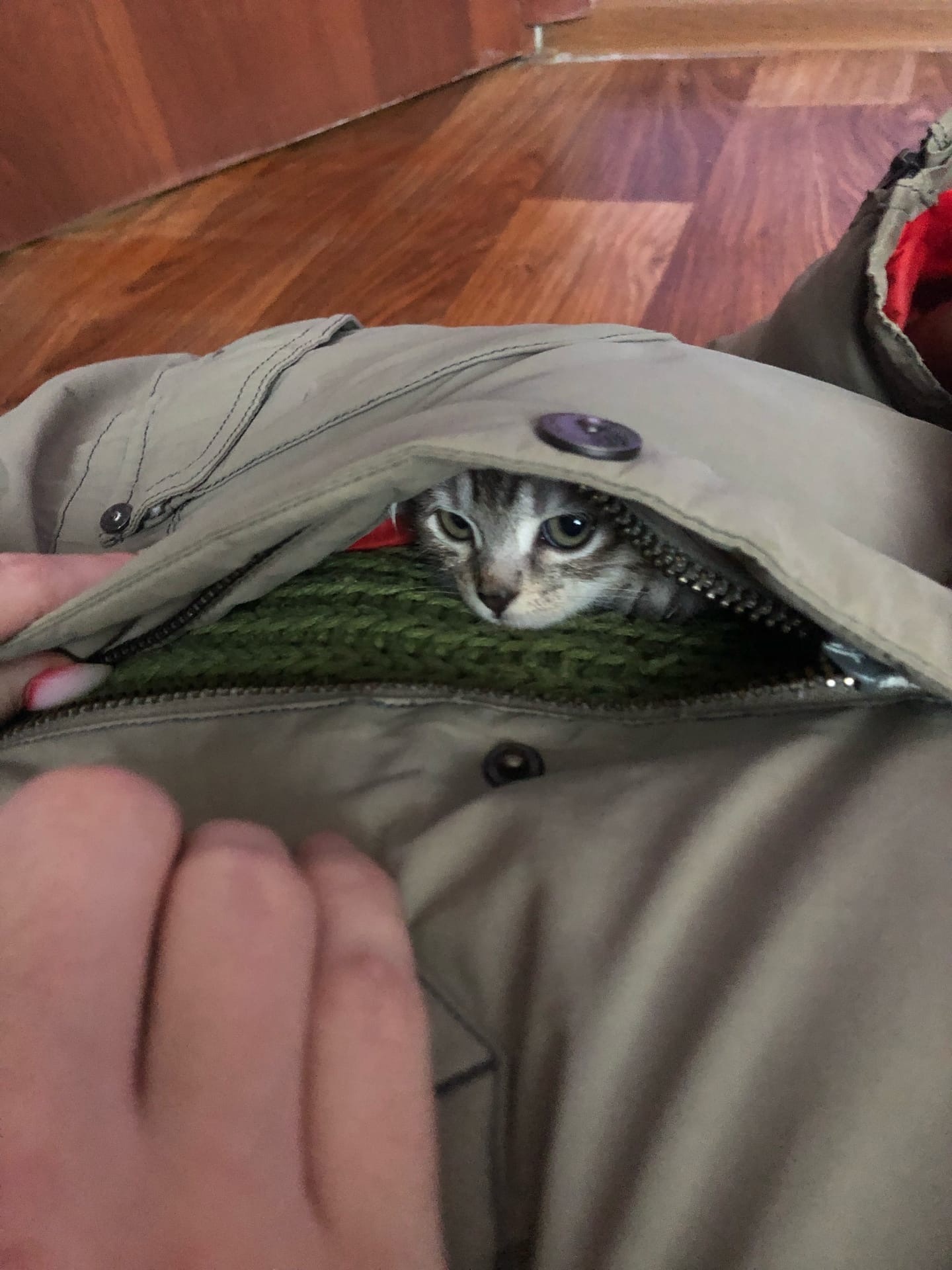 pIf1R-i5hhA.jpg?size=1440x1920&quality=9