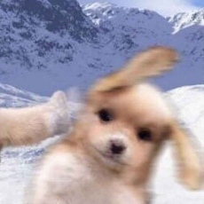 S7nq-5Fg09HNNOkOv3hO25jfK6v2fds3j3s9rZTR