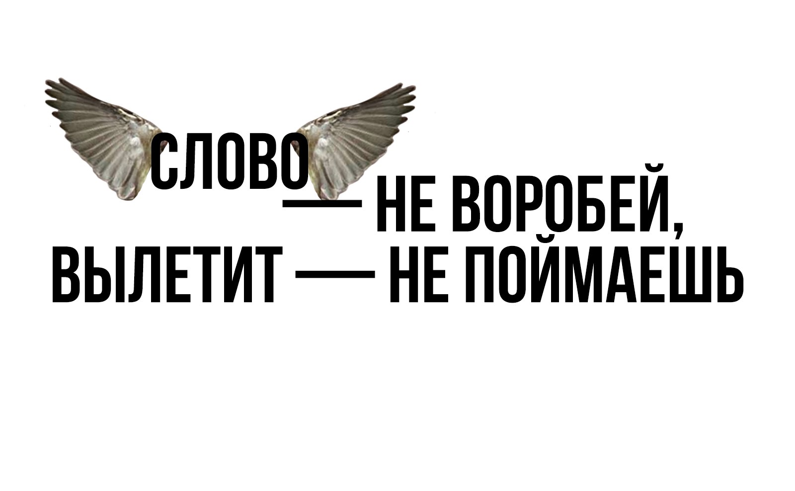 5I1zqn5gzvw.jpg
