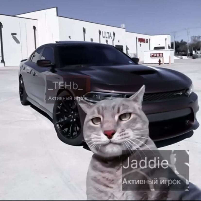 28V4xITZElI.jpg?size=828x828&quality=95&