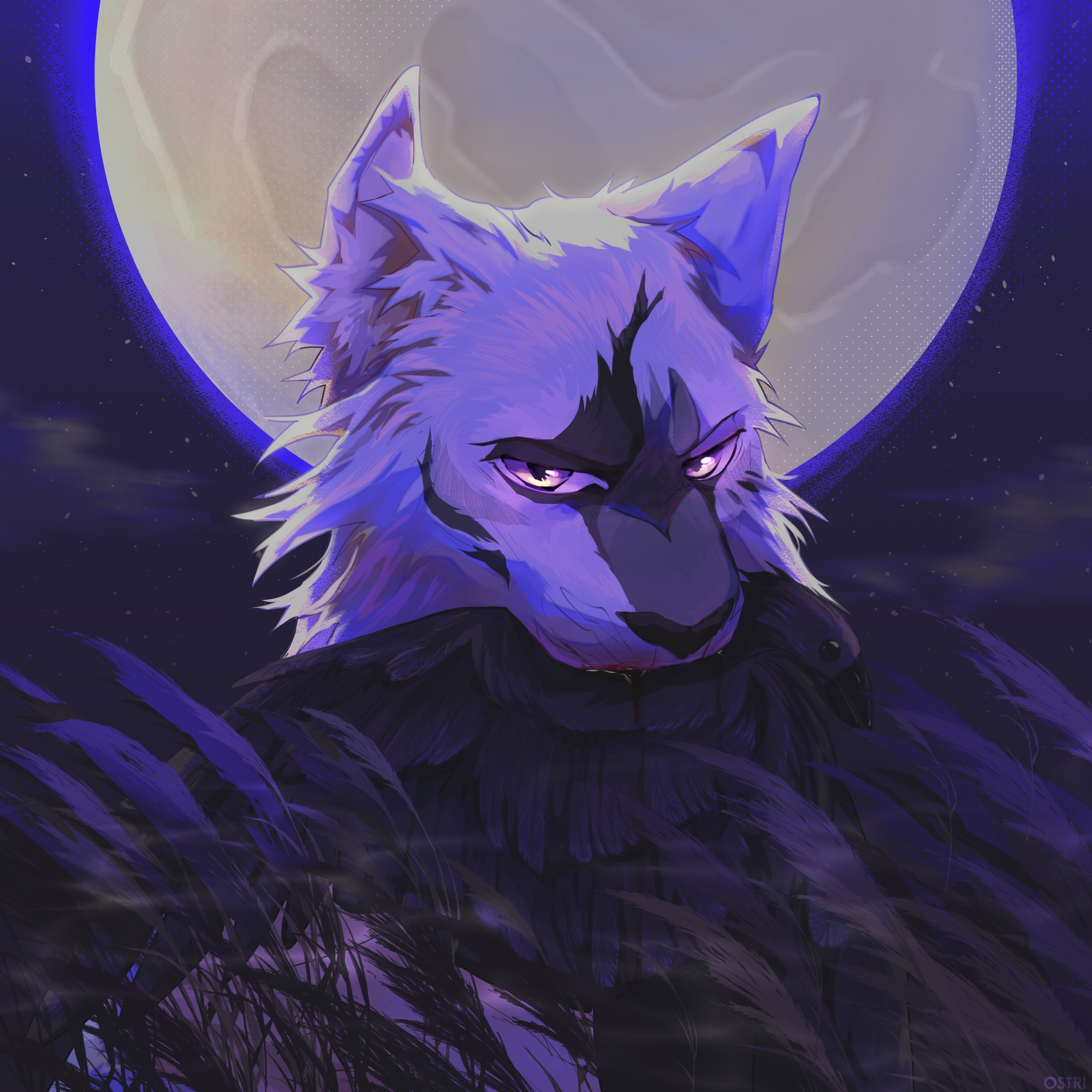 4OdpNuuXAVc.jpg?size=2000x2000&quality=9