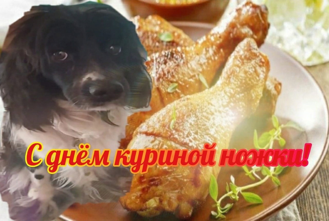 Zdig4QyNi_g.jpg?size=1280x860&quality=96