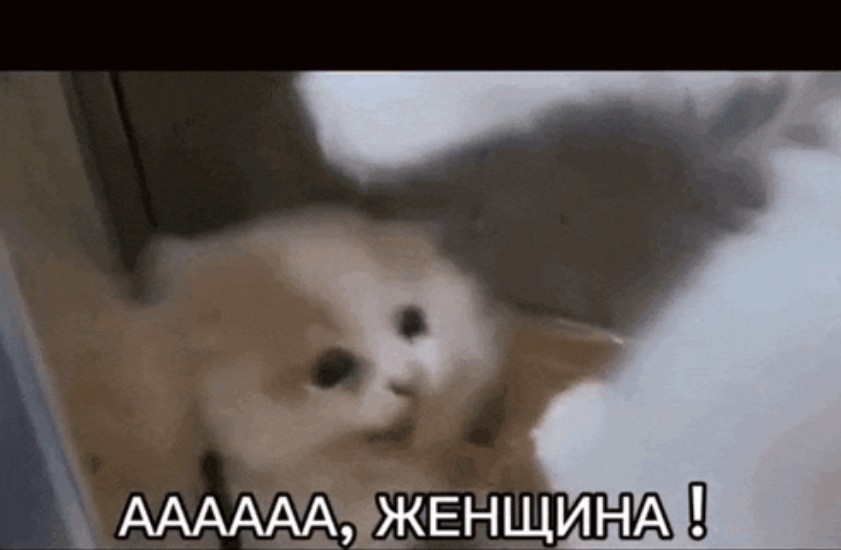 c3680a407dfc3edea5f4d4536dc0abfc.jpg