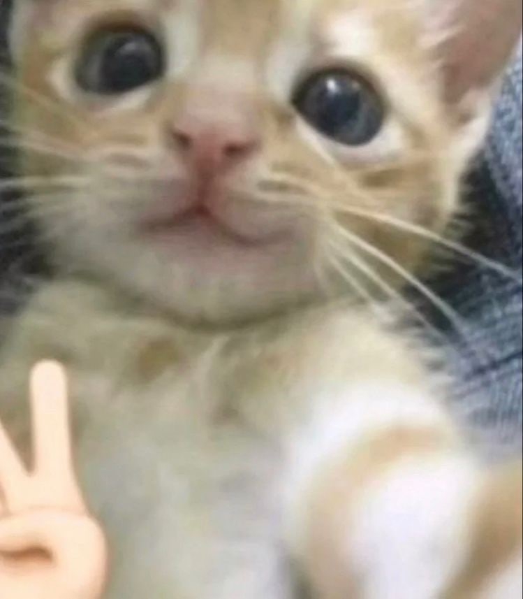 kMJOurFnG_I.jpg?size=749x857&quality=95&