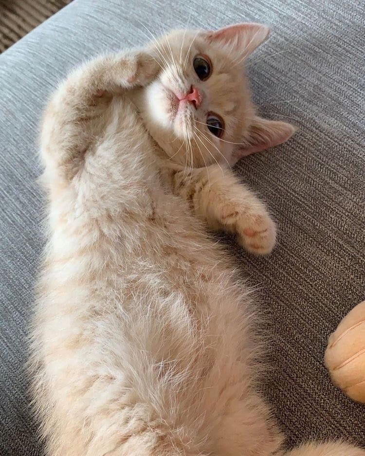 d9Kf2ZkRAxA.jpg?size=750x937&quality=96&