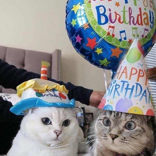 nkPkM3Y1Rwk.jpg?size=640x640&quality=95&