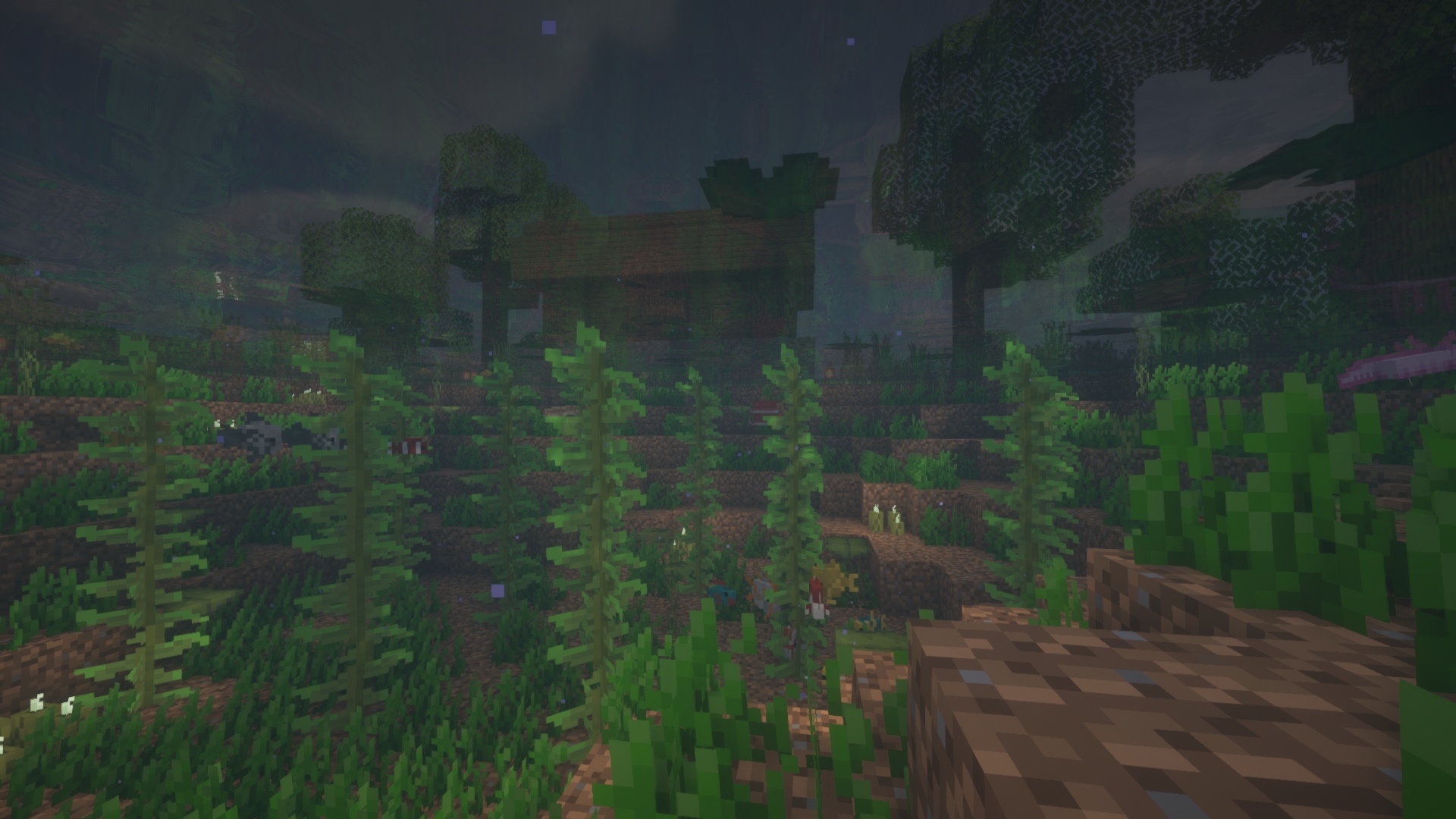 oZmAT2ERI2g.jpg?size=1920x1080&quality=9