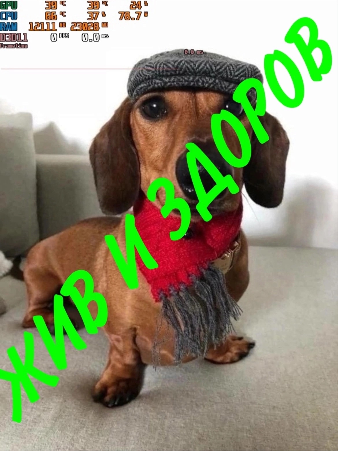 tDUUCBSidfA.jpg?size=1170x1560&quality=9