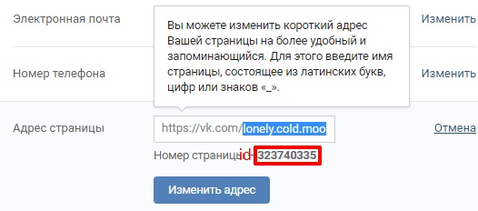 s2_YjTcxN7k.jpg