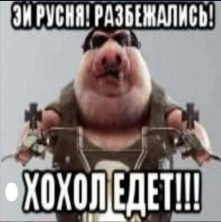 LYfOdR5E_m0.jpg?size=221x222&quality=96&