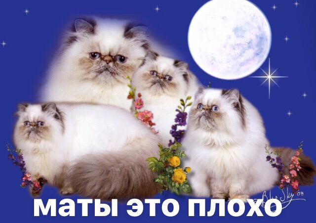 URzdLluI-NU.jpg?size=640x451&quality=96&