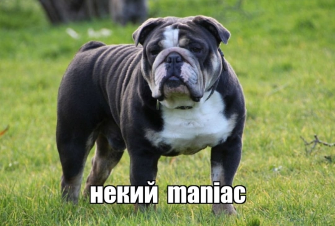 2-xhDNQAALM.jpg?size=1080x731&quality=95