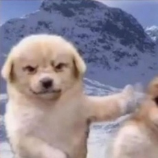 bY1pFVhMvpEixBHbF31Eyp78ppA24OTbYPCOy3A6