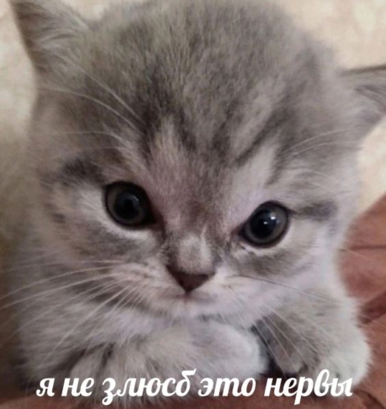 tSw3S8fD8P8.jpg?size=564x597&quality=96&