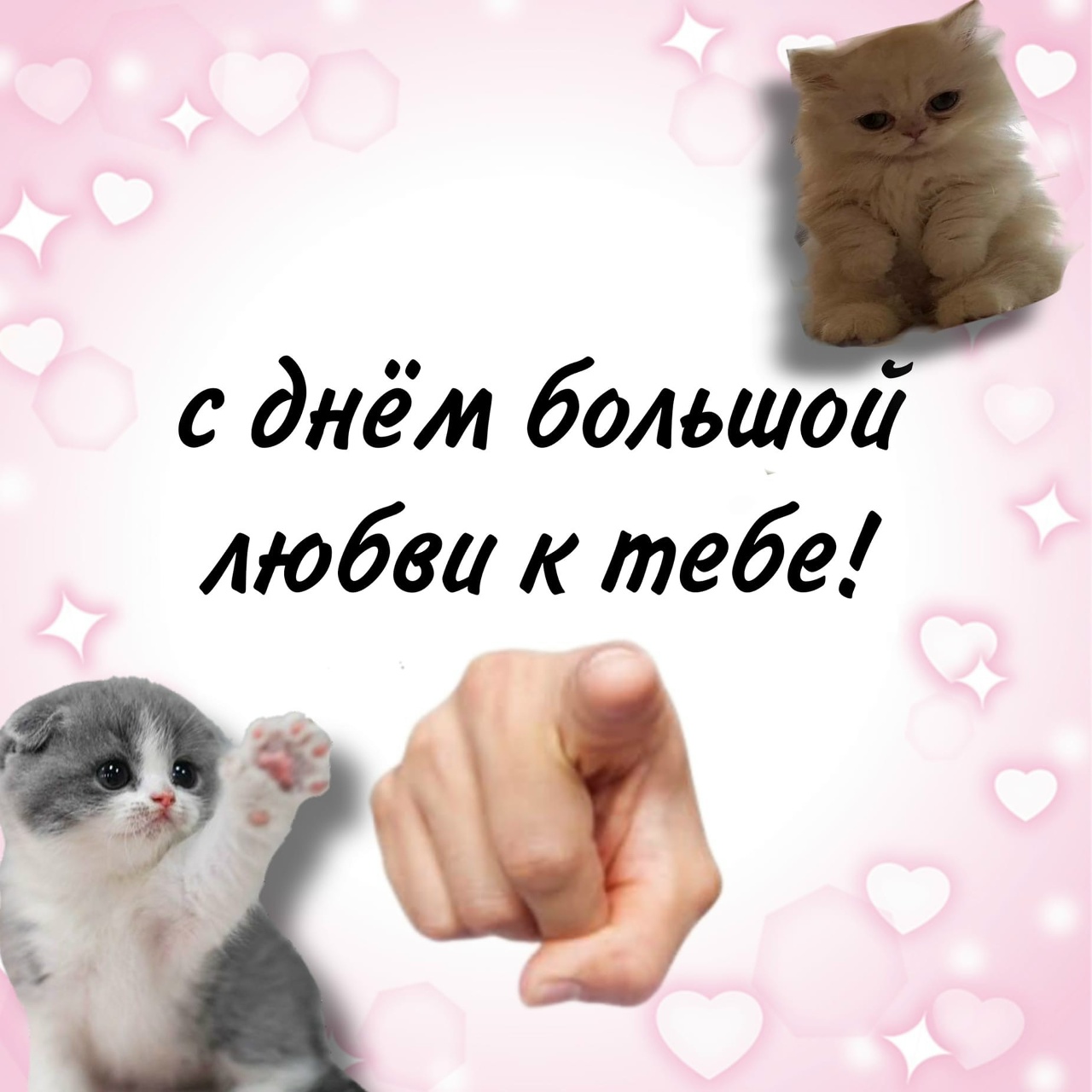 n2QEqK2jpiw.jpg?size=1280x1280&quality=9