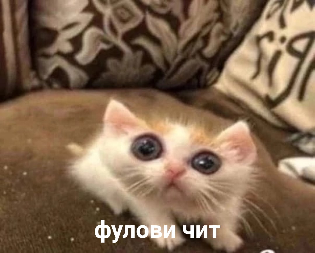 EIYJVlTF6Qw.jpg?size=1080x867&quality=96