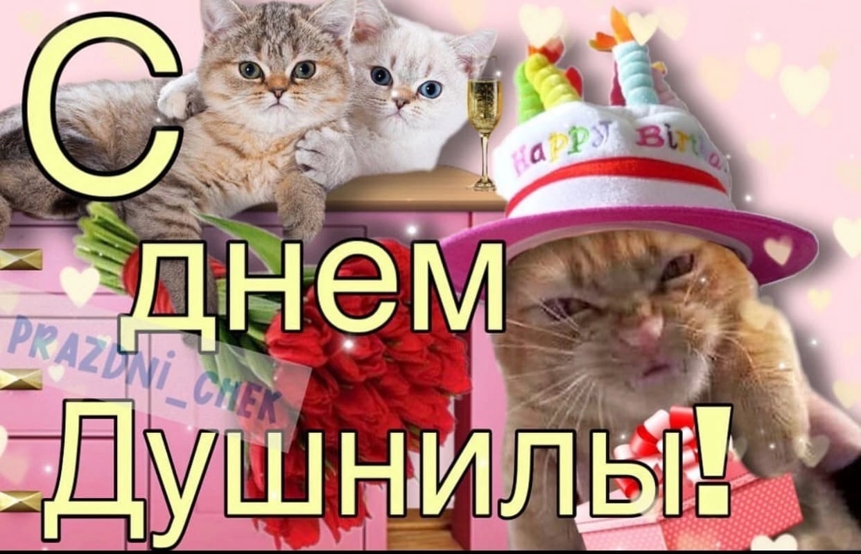 Rnbb91StgqQ.jpg?size=1242x800&quality=95