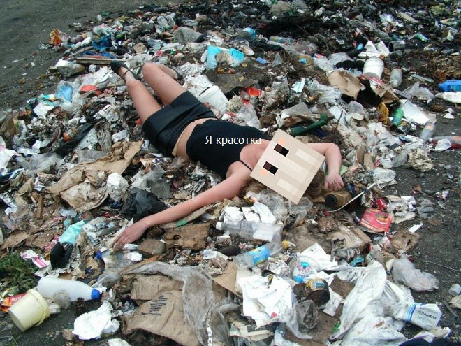 81loJdadyKY.jpg