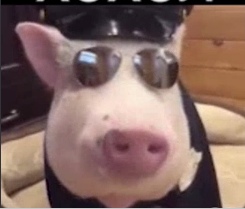 4tbr9A8gS1A.jpg?size=245x209&quality=96&