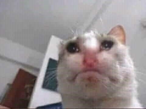 MyyRnNAIALY.jpg
