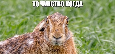 L-Minzl6sMYCPy7U5sr0IG5bwYEAxBqjSOLB-kMJ