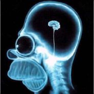 45e9f83f14b3d80ad4473b1c4ab0a7b0ab5b9e7d