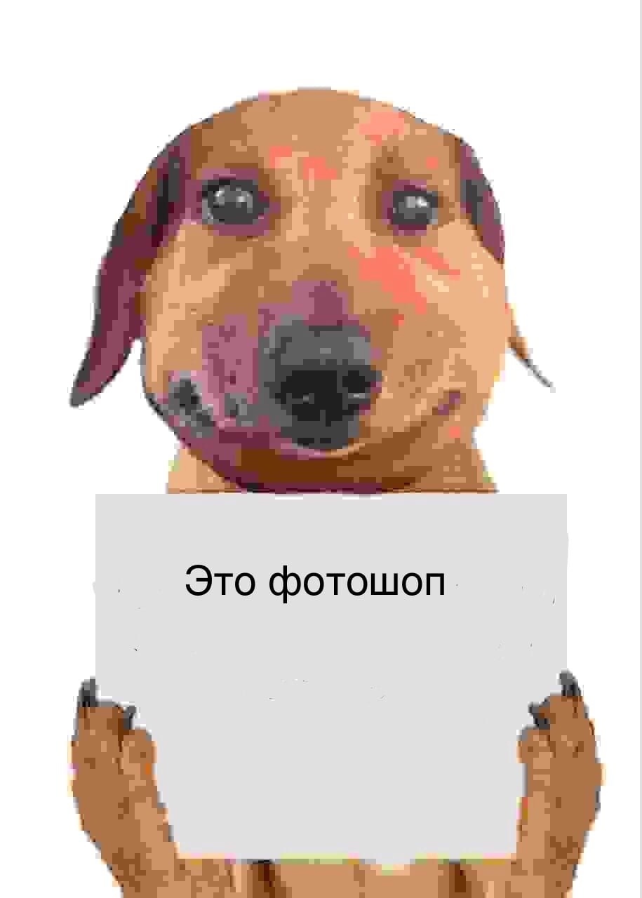 VuJa9rus7z8oWzg9F59CodPpsscU-cZsL77p1BqD