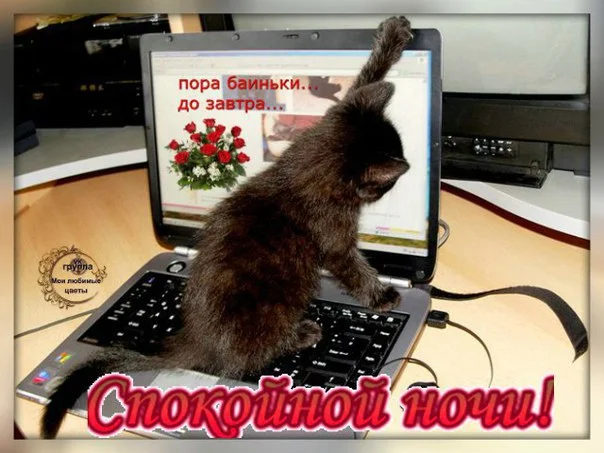 kartinka-viklyuchay-kompyuter-pora-spat-