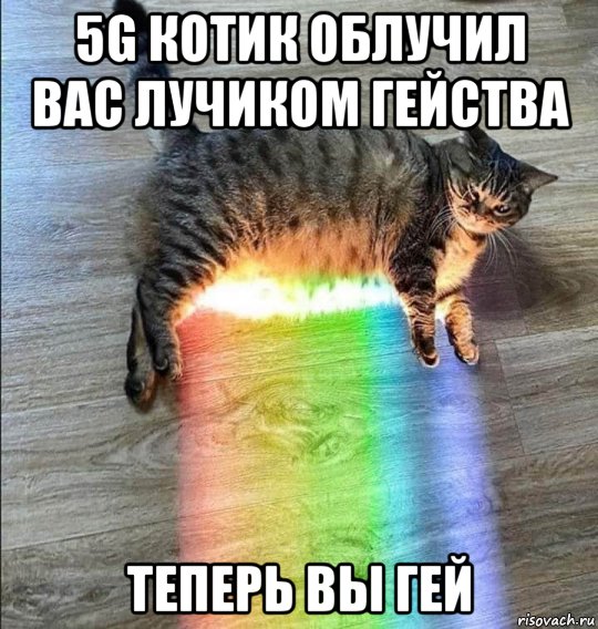 wgVK2TFU2EE.jpg?size=540x568&quality=96&