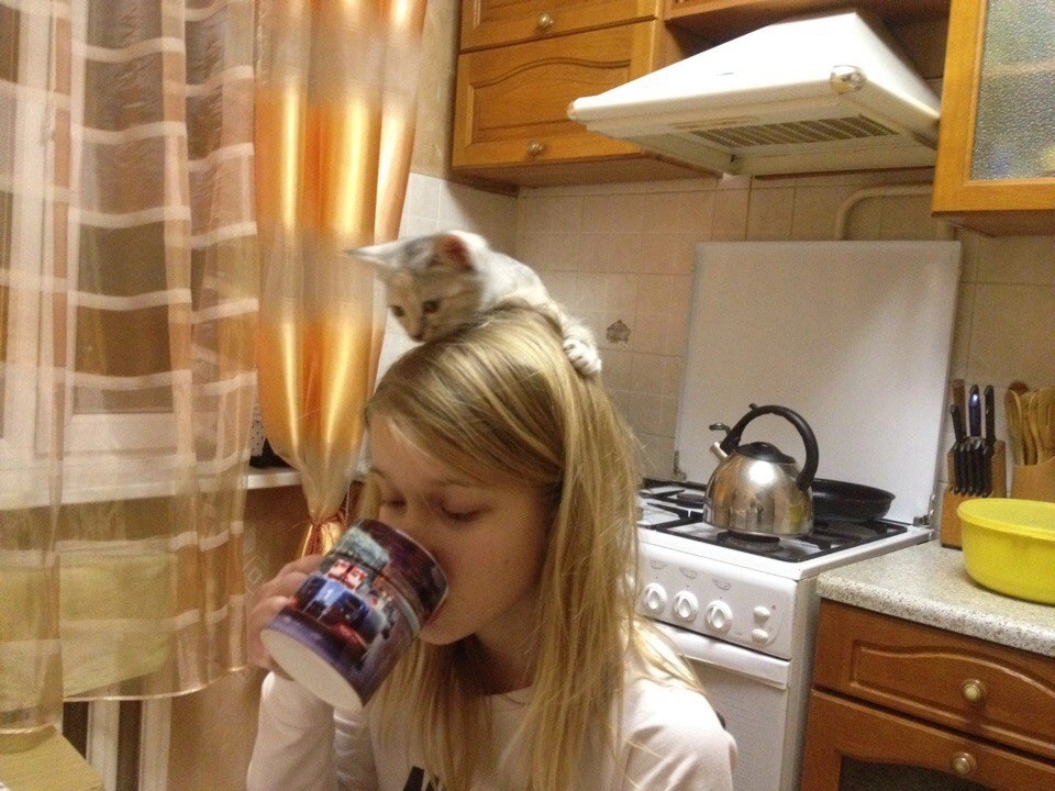 eyXTi8LQpis.jpg?size=960x720&quality=95&