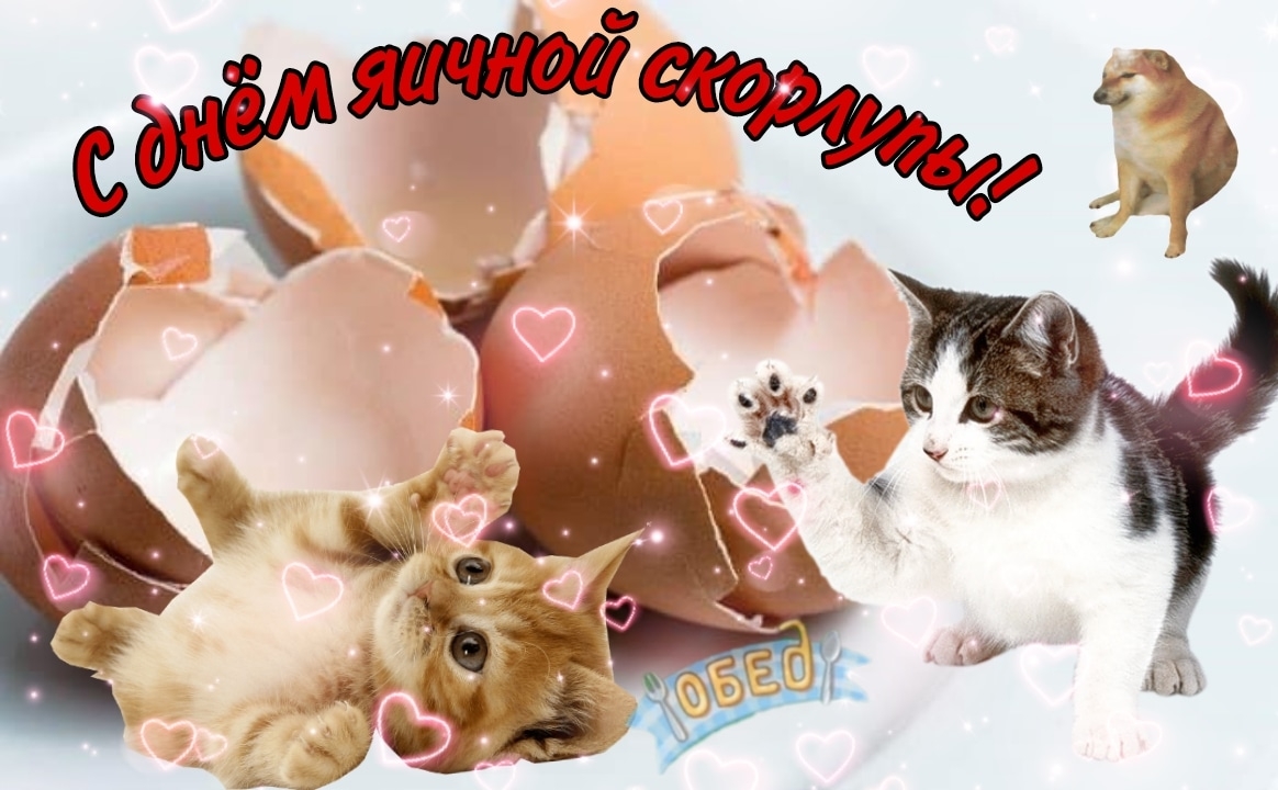 cTBoKJci4AM.jpg?size=1164x720&quality=95